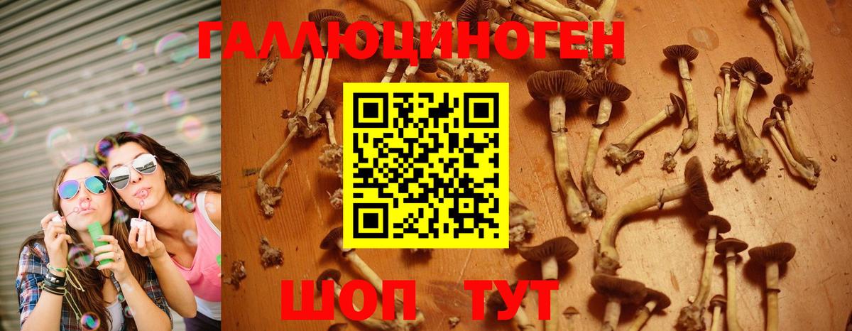 Галлюциногенные грибы Magic Shrooms Белая Калитва